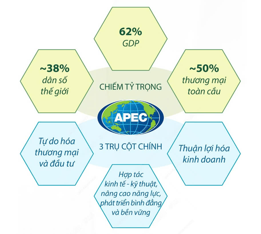 Quy mô của APEC