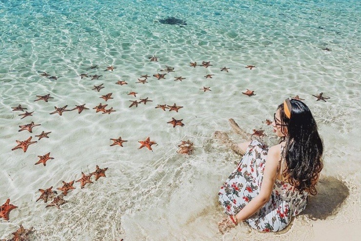 Ảnh Tico Travel